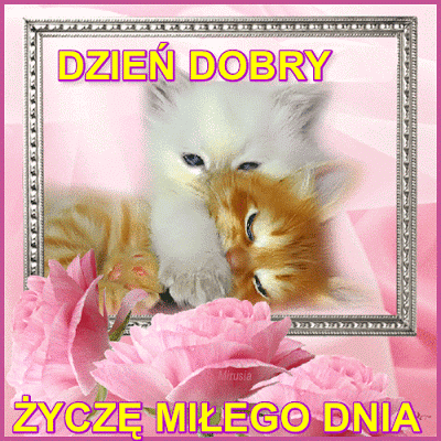 Dwa kotki przytulone na powitanie i życzenia miłego dnia